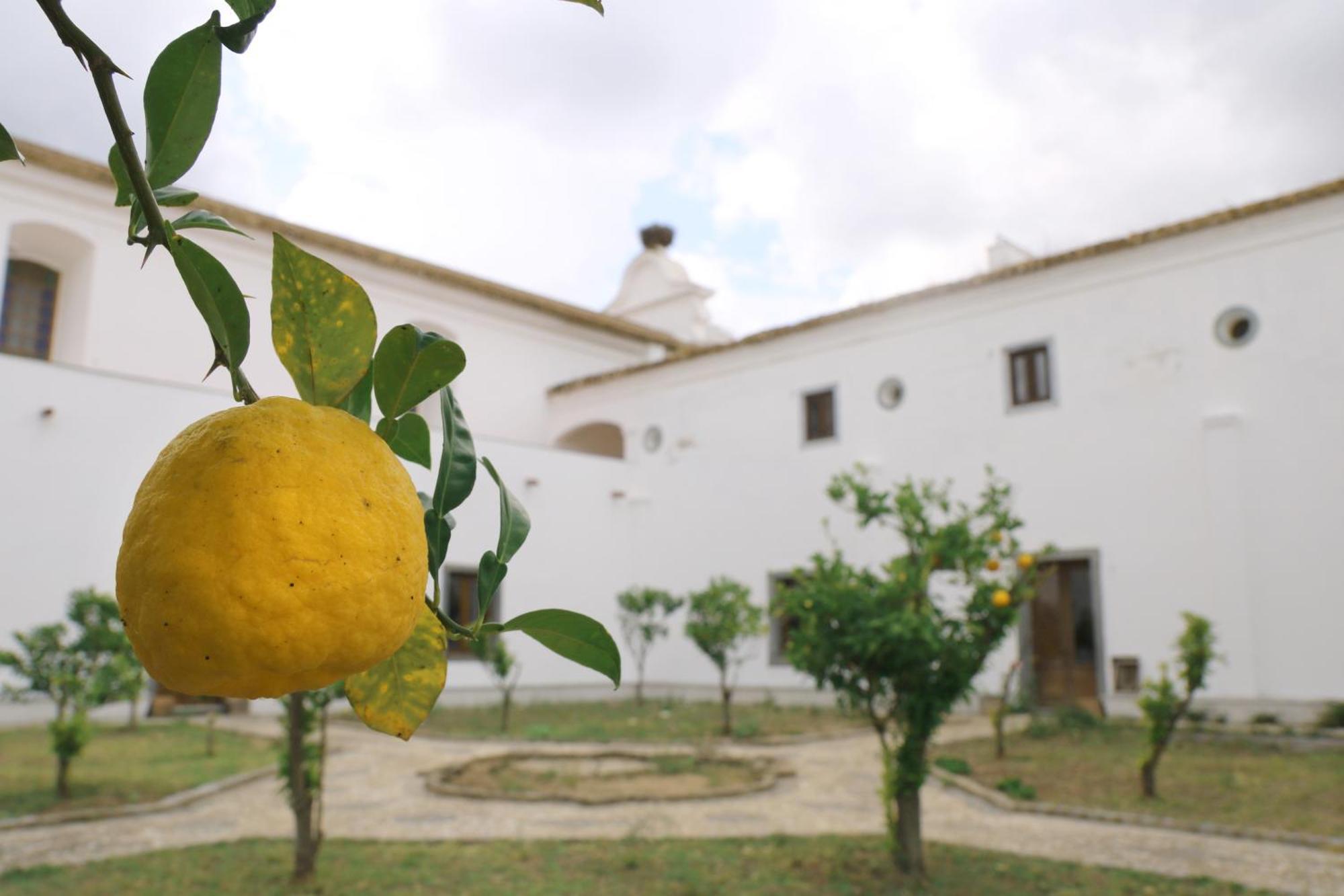 Гостевой дом Convento Da Orada - Монсараш Экстерьер фото